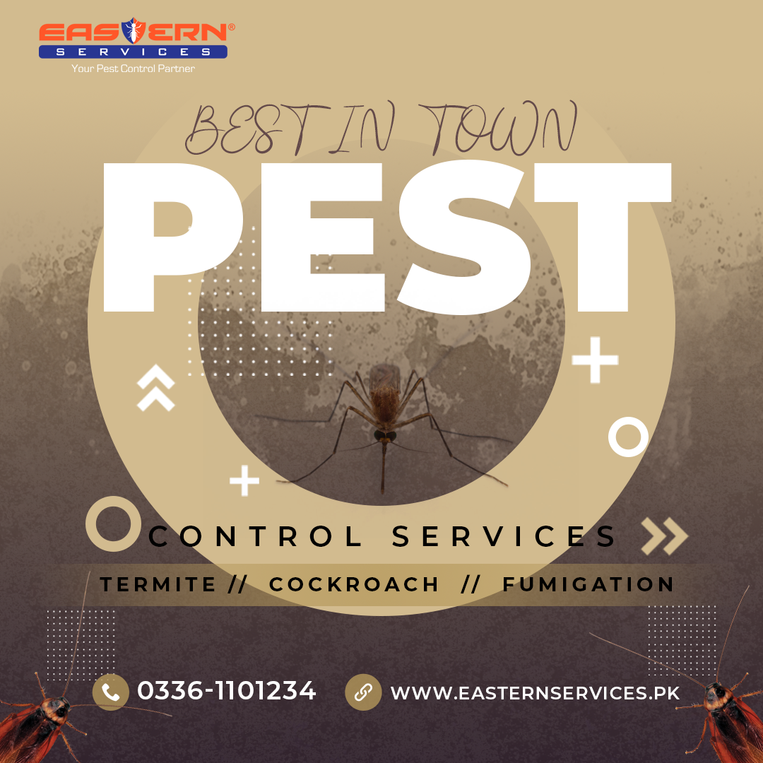 Pest Control Services in Abbottabad