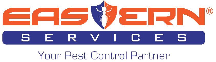 Eastern Services Best Pest Control Pakistan