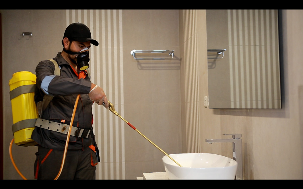 Best Termite & Pest Control Islamabad