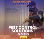 Pest Control Solutions Islamabad