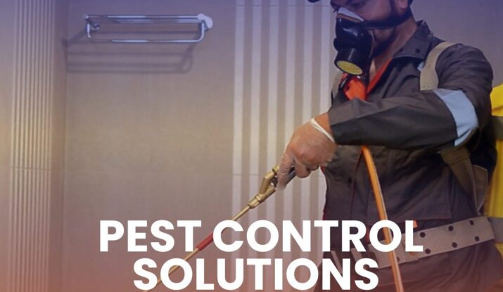 Pest Control Solutions Islamabad