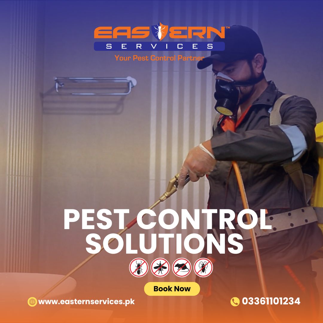 Pest Control Solutions Islamabad