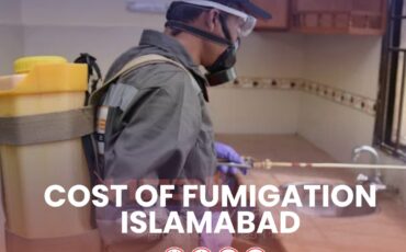 Cost of Fumigation Islamabad