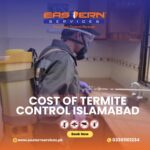 Cost of Termite Control Islamabad