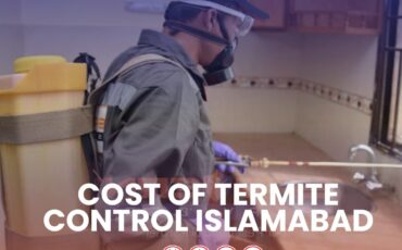 Cost of Terminate Control Islamabad