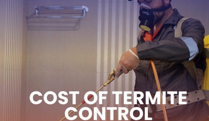 Cost of Termite Control