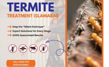 Termite Treatment Islamabad