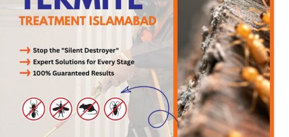 Termite Treatment Islamabad Termite Treatment Islamabad