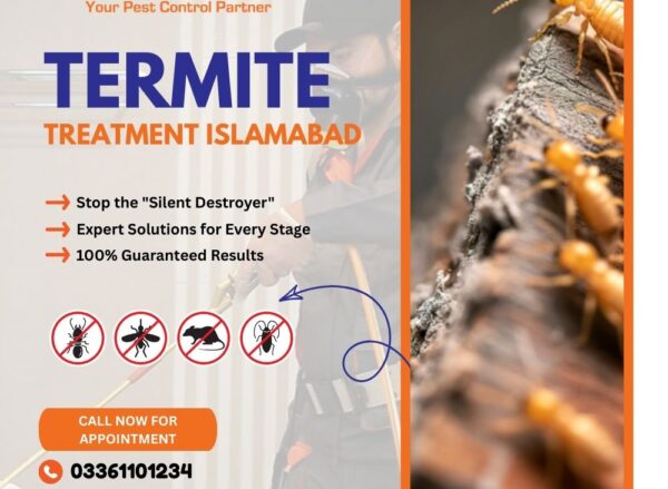Termite Treatment Islamabad