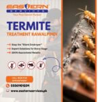 Termite Treatment Rawalpindi