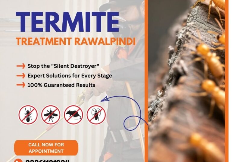 Termite Treatment Rawalpindi