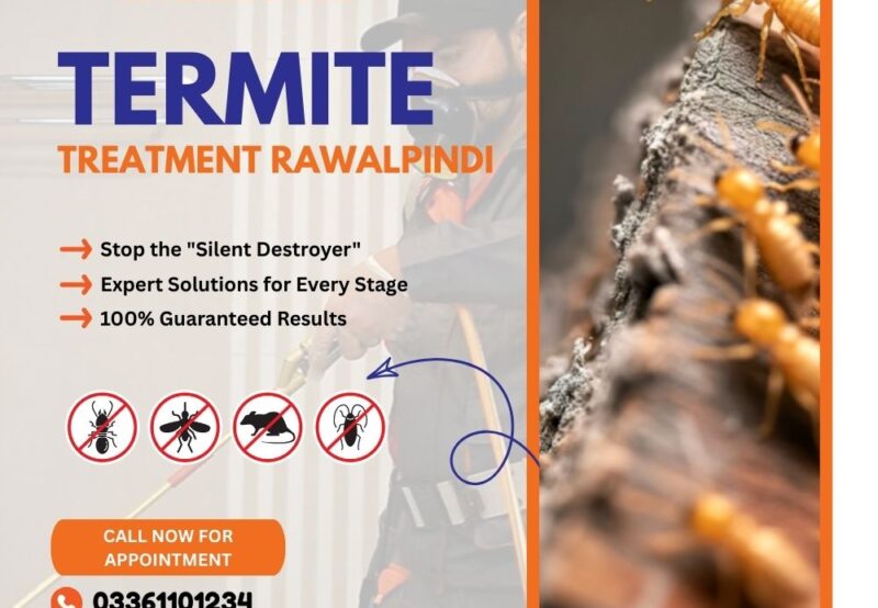 Termite Treatment Rawalpindi