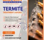 Termite Treatment Lahore