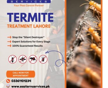 Termite Treatment Lahore