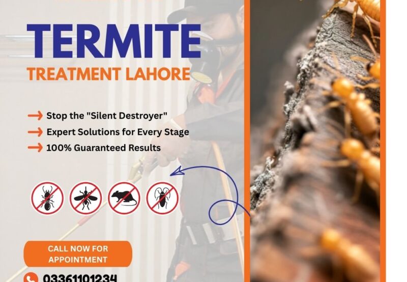 Termite Treatment Lahore