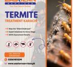 Termite Treatment Karachi