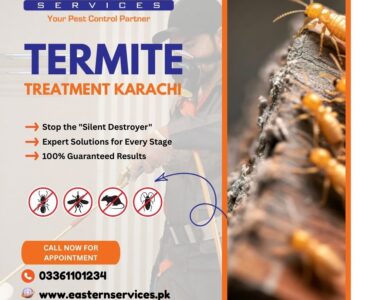 Termite Treatment Karachi