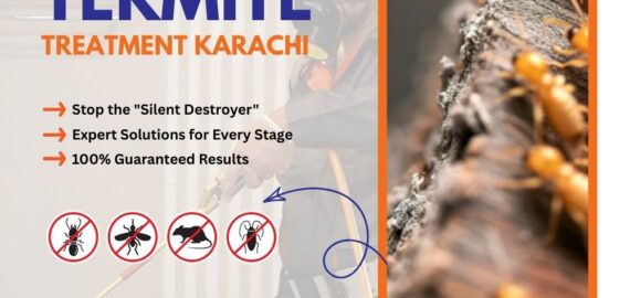 Termite Treatment Karachi Termite Treatment Karachi
