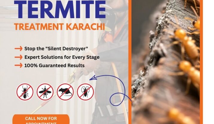 Termite Treatment Karachi