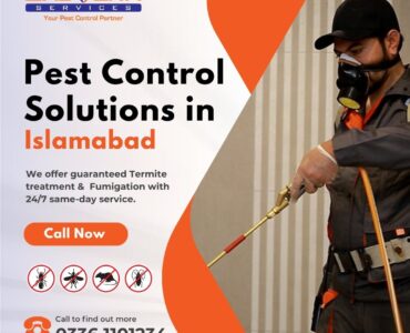 Pest Control Solutions in Islamabad