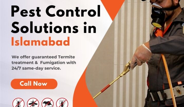 Pest Control Solutions in Islamabad
