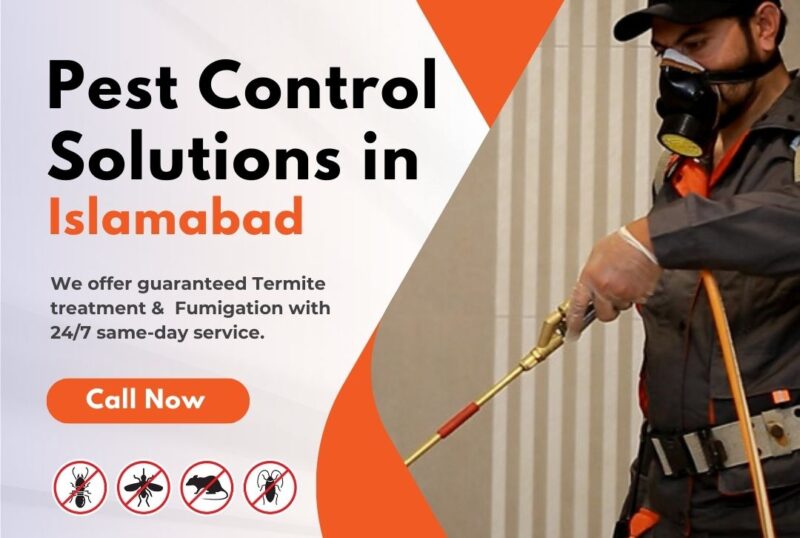 Pest Control Solutions in Islamabad Pest Control Solutions in Islamabad