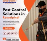 Pest Control Solutions in Rawalpindi