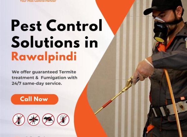 Pest Control Solutions in Rawalpindi