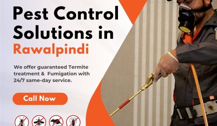 Pest Control Solutions in Rawalpindi