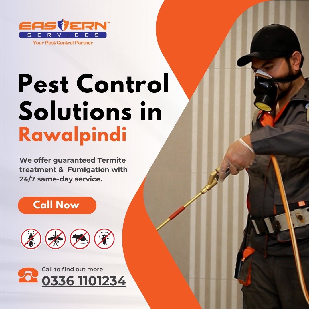 Pest Control Solutions in Rawalpindi