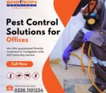 Pest Control Solutions for Offices