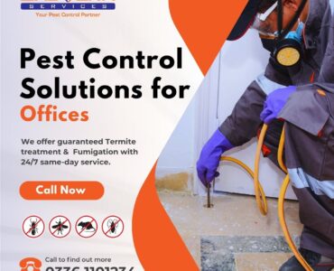 Pest Control Solutions for Offices