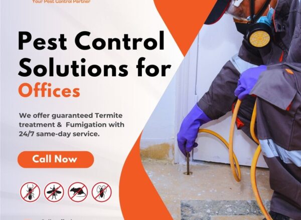 Pest Control Solutions for Offices