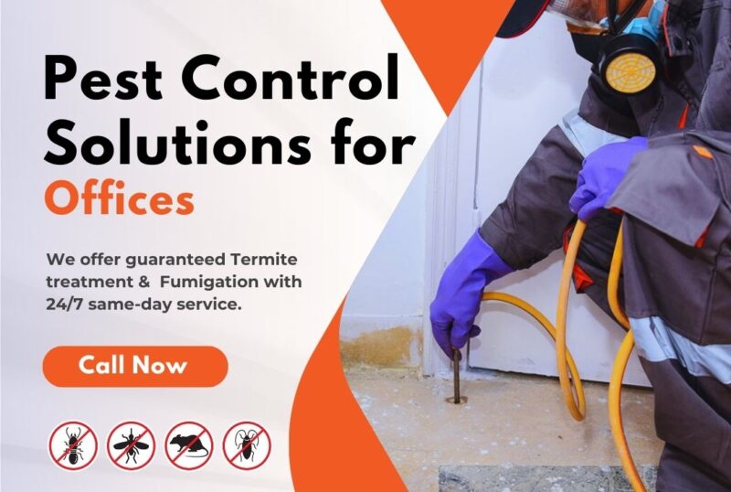 Pest Control Solutions for Offices Pest Control Solutions for Offices