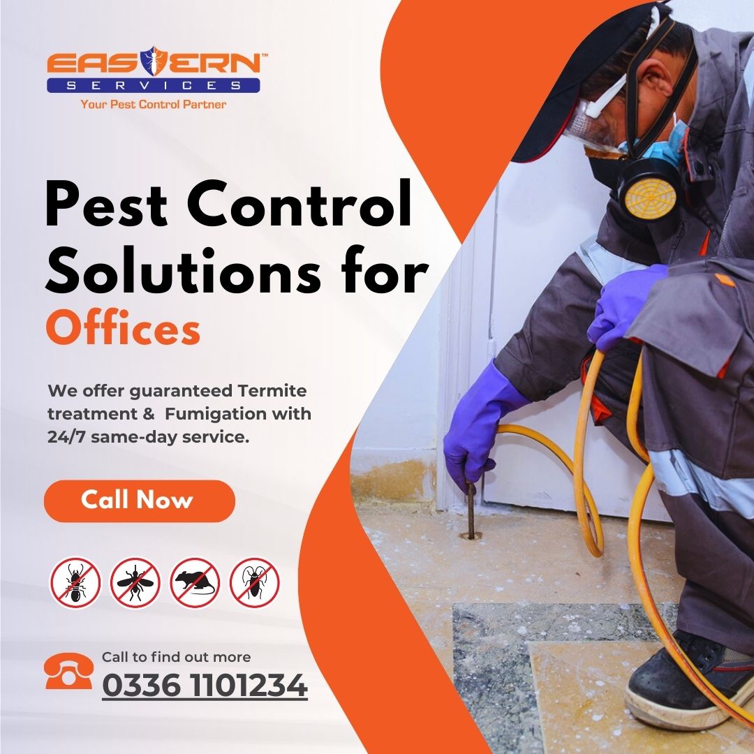 Pest Control Solutions for Offices