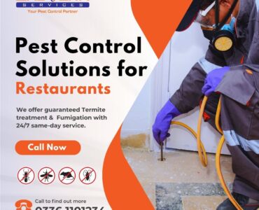 Pest Control Solutions for Restaurants
