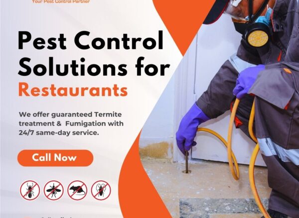 Pest Control Solutions for Restaurants