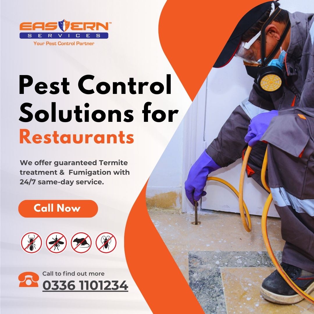 Pest Control Solutions for Restaurants