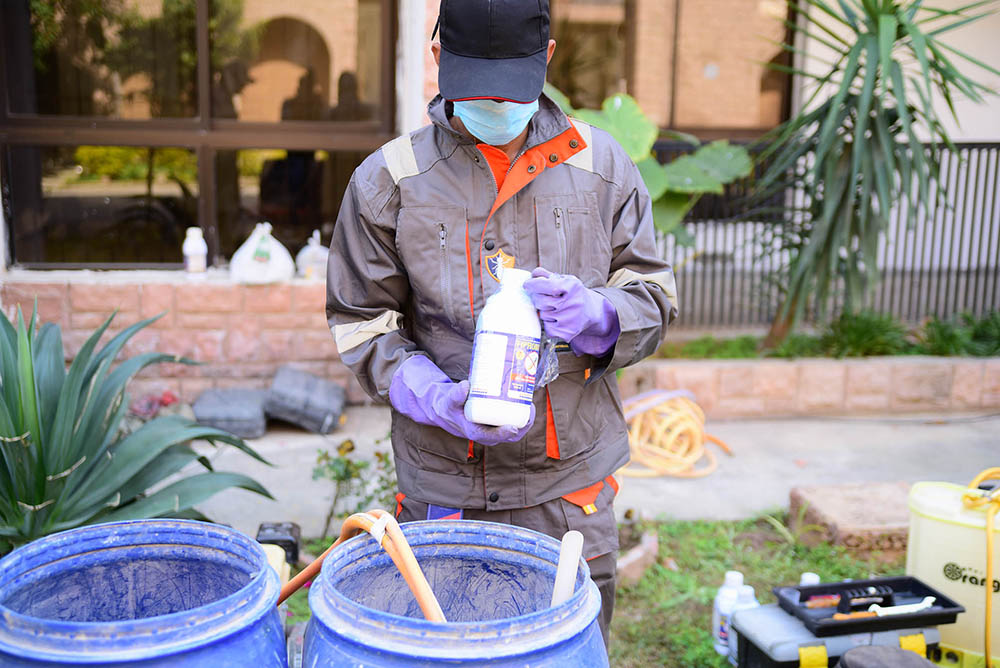 Termite Control Services in Rawalpindi