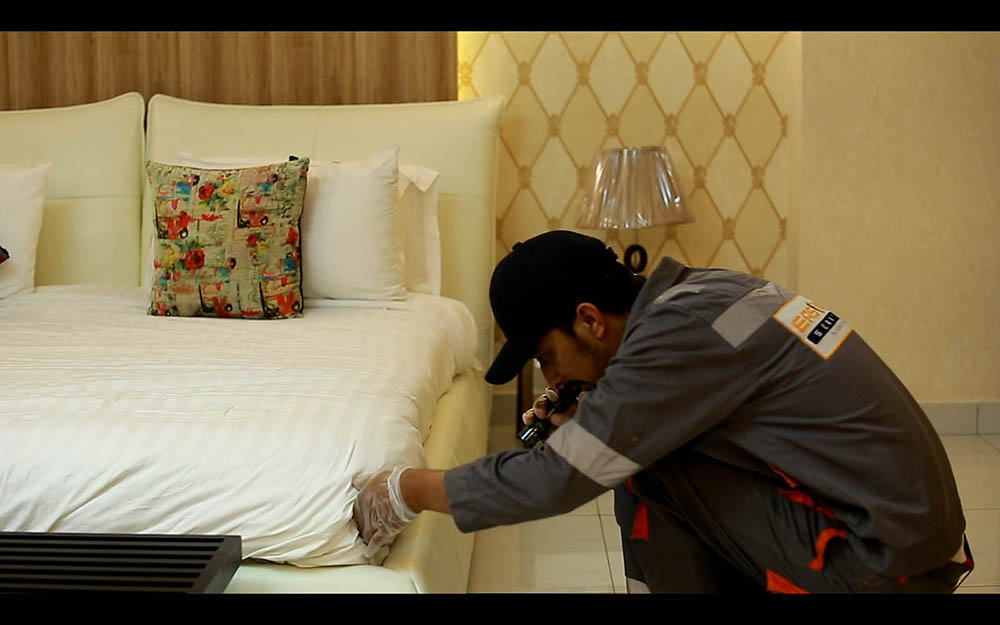 Best Dheemak Treatment