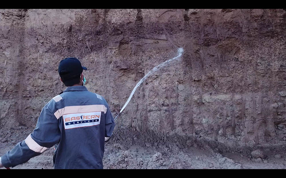 Termite Control Services islamabad