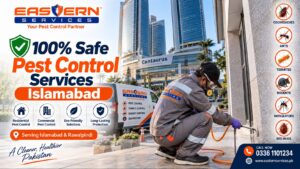100% Safe Pest Control Services Islamabad