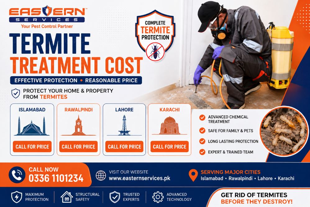 Termite Treatment Cost Overview