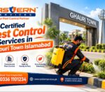 Certified Pest Control in Ghouri Town