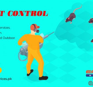 Rats Control Services Pakistan