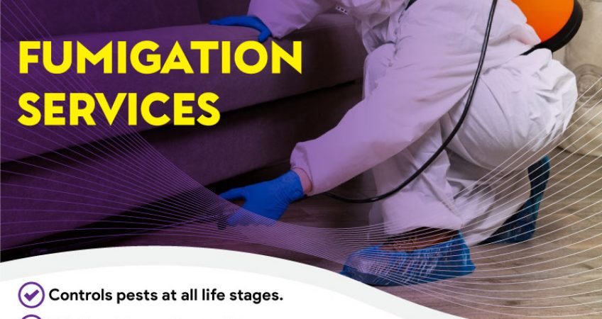 Best Fumigation Services in Islamabad