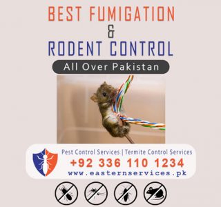 Best fumigation & rodent control services