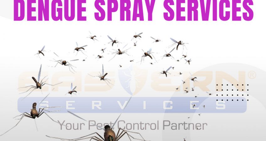 Dengue Spray Service in Bahria Town Phase 7