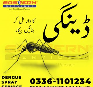 Dengue Mosquito Spray in I-8 | I-9 | I-10 Islamabad