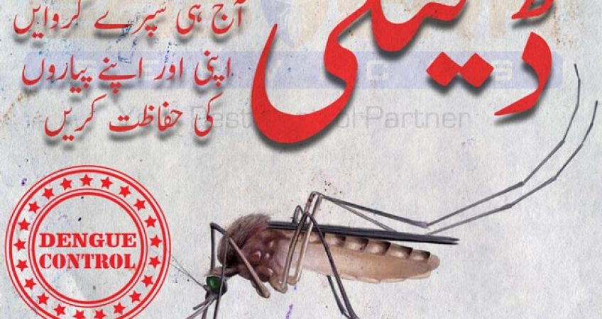 Dengue Spray Service in Blue Area Islamabad